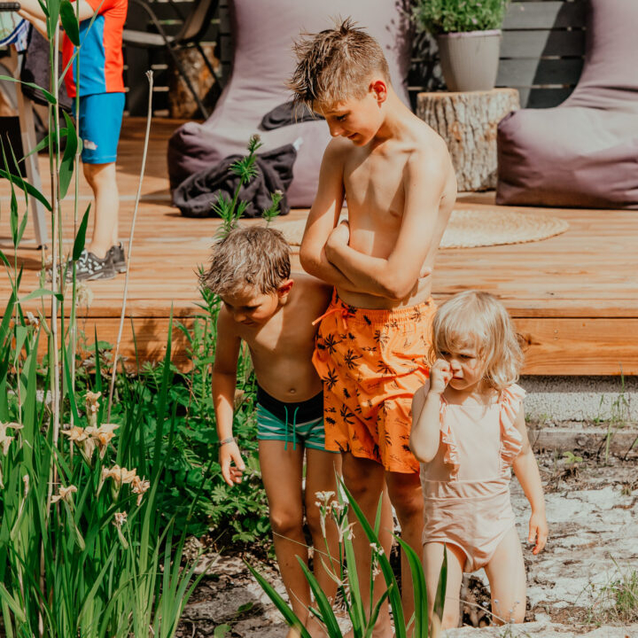 steel-mini-elektrikeris-2