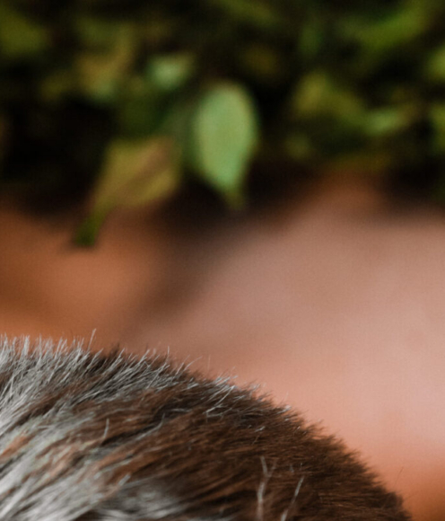 tahad-spordis-haid-tulemusi-lisa-treeningule-saun-2