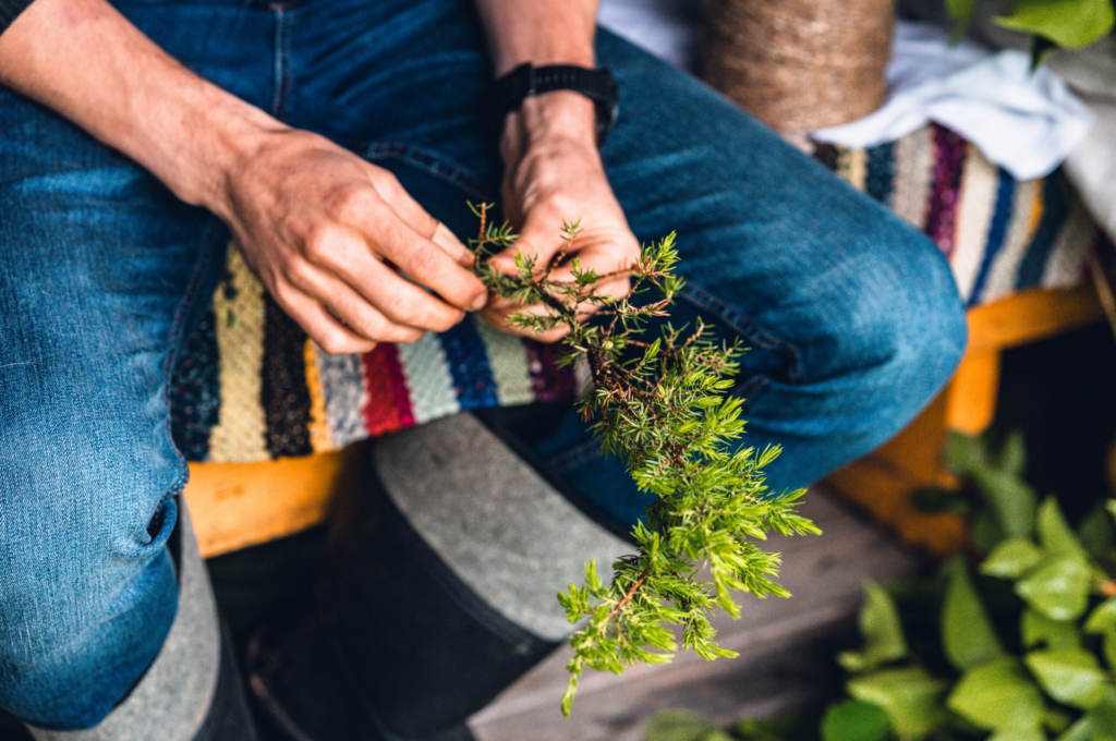 saunaviha-valmistamine-10