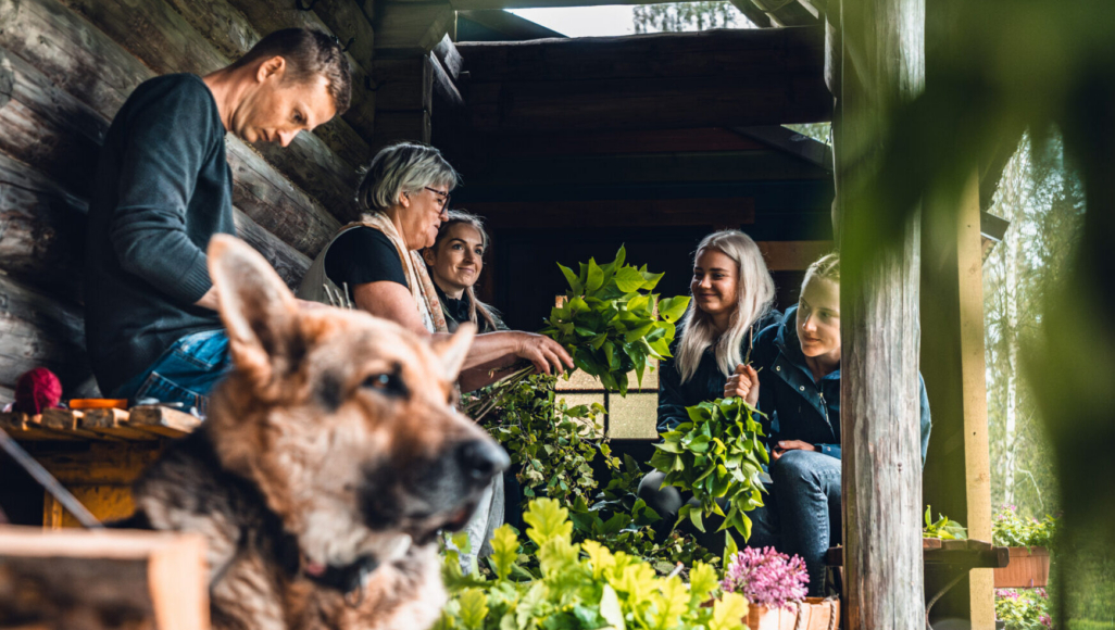 saunaviha-valmistamine